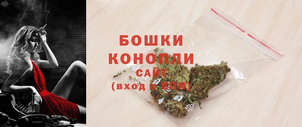 ГАЛЛЮЦИНОГЕННЫЕ ГРИБЫ Новозыбков