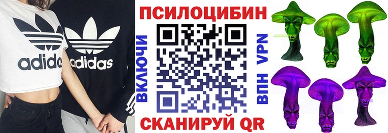 Псилоцибиновые грибы Magic Shrooms  Камышлов 