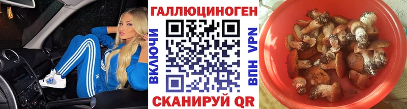 Галлюциногенные грибы прущие грибы Камышлов