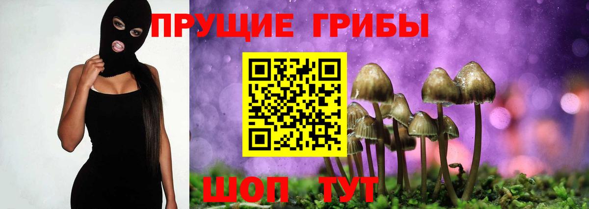Псилоцибиновые грибы прущие грибы Камышлов